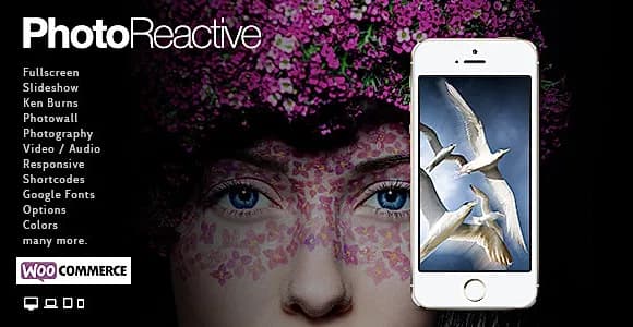 Photo Reactive Fullscreen for WordPress WordPress Theme