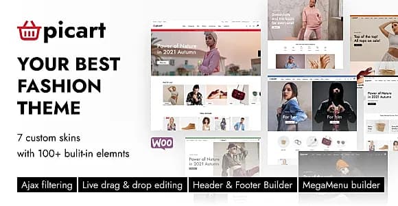 Picart WordPress Theme