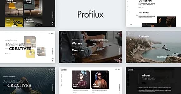 Profilux - Creative Website