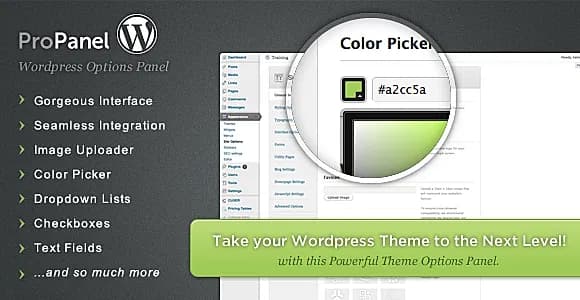 ProPanel - Wordpress Theme Options Panel