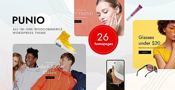 Punio WordPress Theme