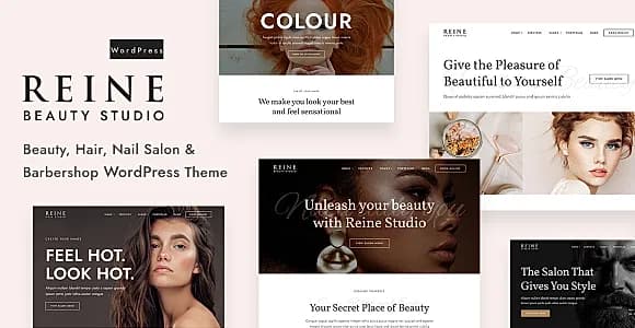 Reine WordPress Theme