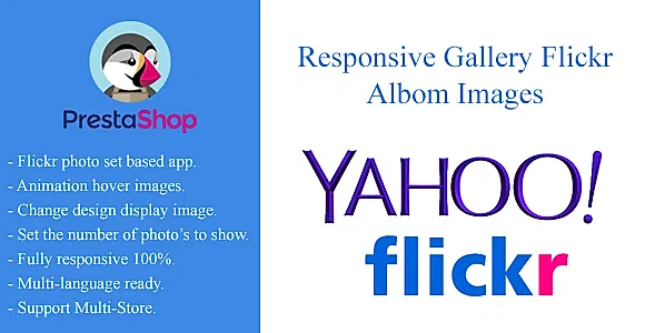 Responsive Gallery Flickr Albom Images