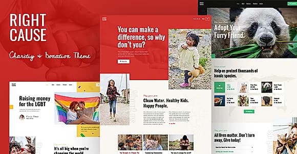 RightCause WordPress Theme