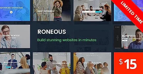 Roneous WordPress Theme