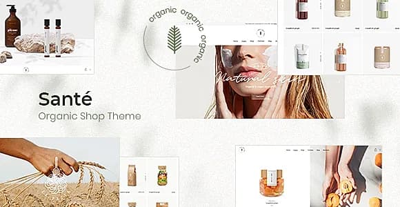 Sante WordPress Theme