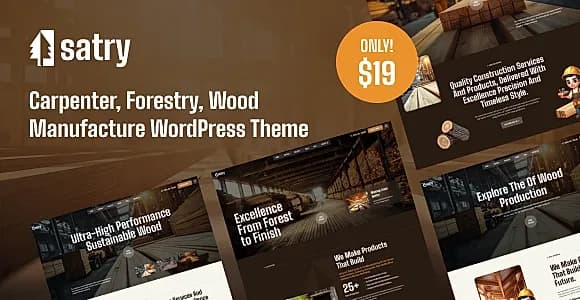 Satry WordPress Theme