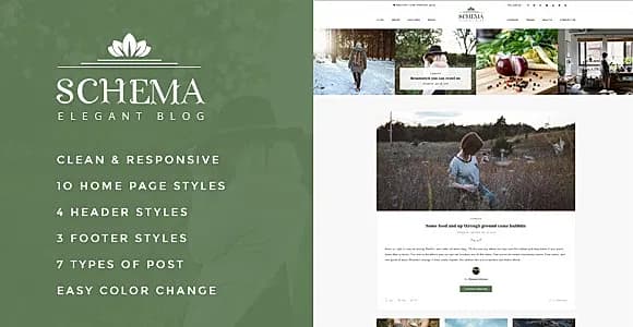 Schema WordPress Theme