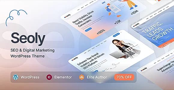 Seoly WordPress Theme