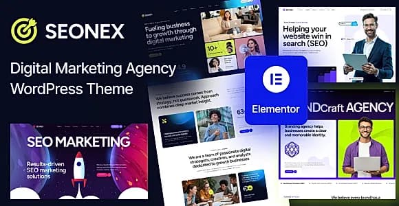Seonex WordPress Theme