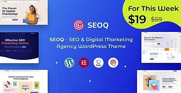 SEOQ WordPress Theme