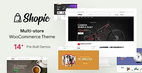 Shopic WordPress Theme