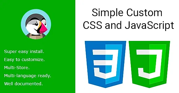 Simple Custom CSS and JavaScript