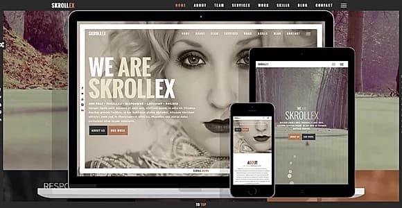 Skrollex WordPress Theme