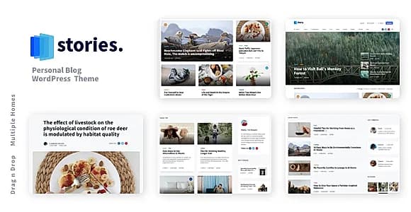 Stories WordPress Theme