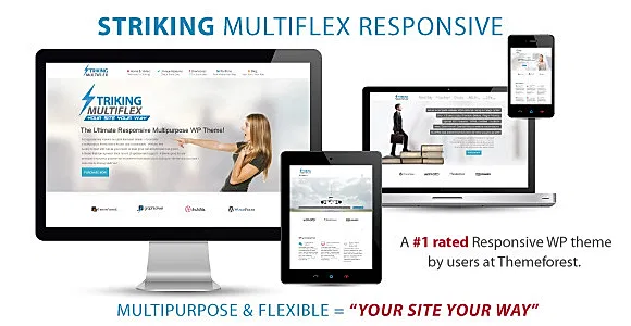 Striking MultiFlex & Ecommerce Responsive WordPress Theme WordPress Theme