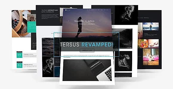 Tersus - Business Portfolio Parallax Muse Template