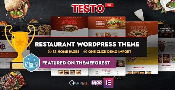 Testo WordPress Theme