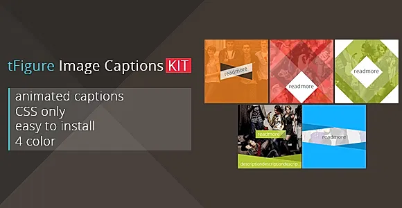 tFigure - Image Captions