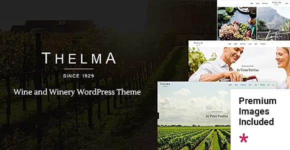 Thelma WordPress Theme