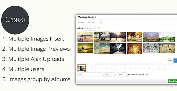 TinyMCE4  Album  Image Manager