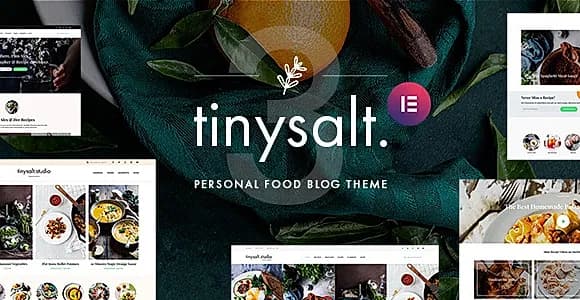 TinySalt WordPress Theme
