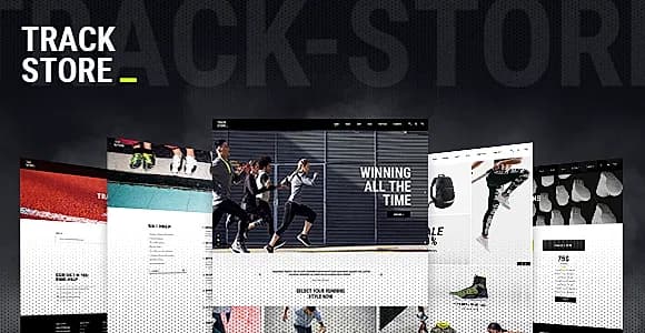 TrackStore WordPress Theme