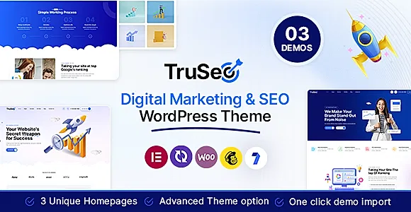 TruSEO WordPress Theme