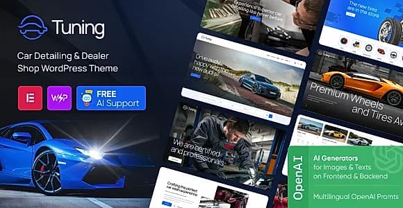Tuning WordPress Theme