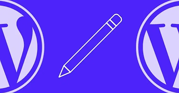 Using Custom Content Types in WordPress