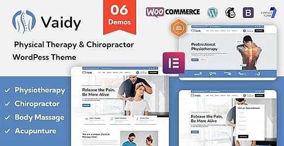 Vaidy WordPress Theme