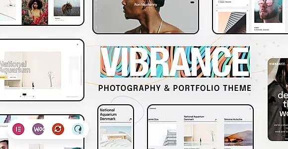 Vibrance WordPress Theme