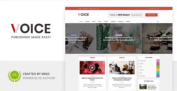Voice WordPress Theme