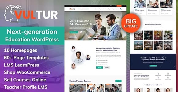 Vultur WordPress Theme