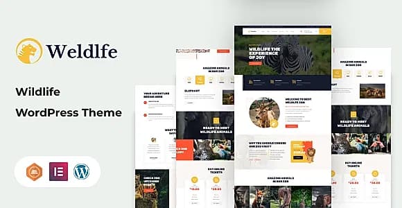 Weldlfe WordPress Theme