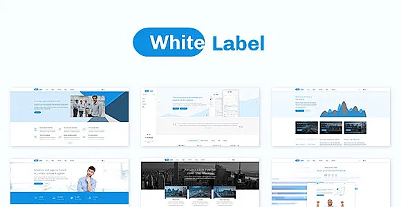 WhiteLabel WordPress Theme