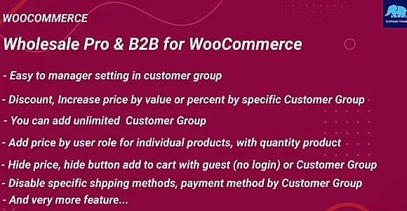 Wholesale Pro & B2B for WooCommerce WordPress Plugin
