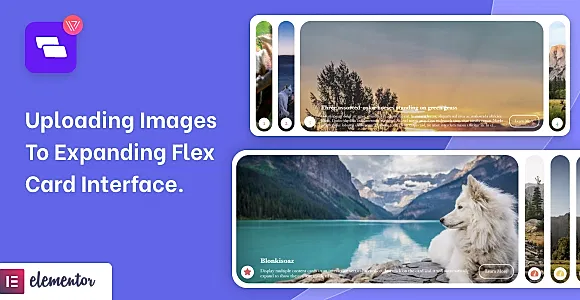 Wiloke Expanding Flex Cards WordPress Plugin