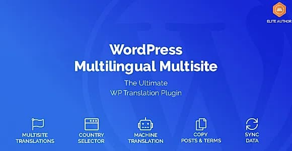 WordPress Multilingual Multisite WordPress Plugin