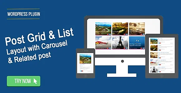 Wordpress Post Grid / List / Timeline Layout With Carousel & Related Post WordPress Plugin
