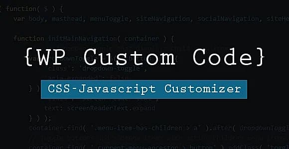 WP Custom Code WordPress Plugin