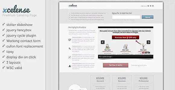Xcelense Landing Page